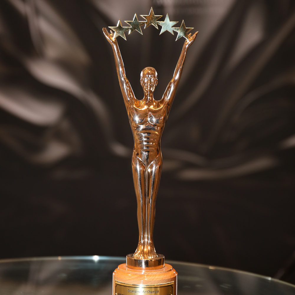 Schloss Boutiquehotel Mitterhart World Luxury Hotel Awards 2026